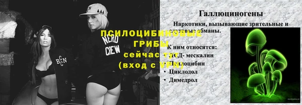спайс Алексин