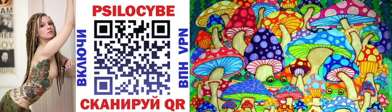 Галлюциногенные грибы Psilocybine cubensis  как найти закладки  Новопавловск 